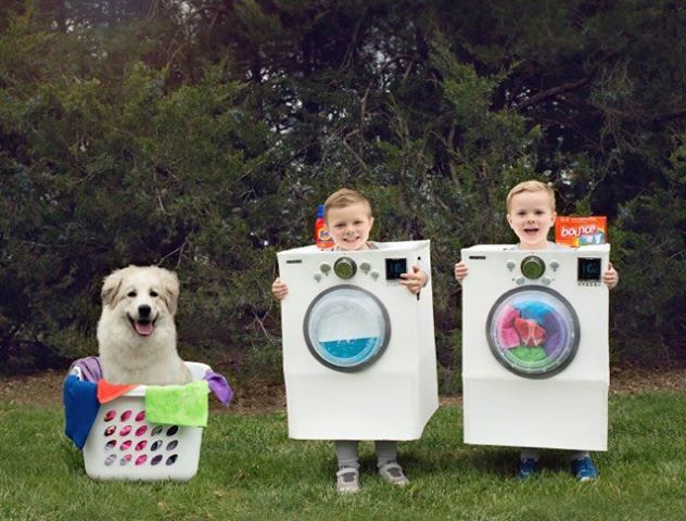 Washing machine, dryer and laundry maker